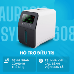 Máy Tạo Oxy Y Tế Aurboic SYK-608