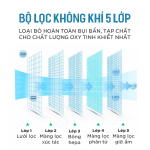 Máy Tạo Oxy Y Tế Aurboic SYK-608