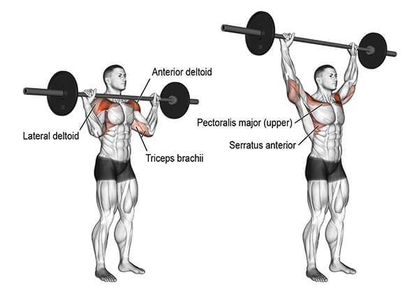 Bài tập vai cho nam Shoulder Press