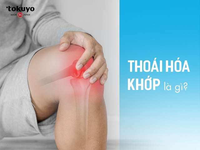 thoái hóa khớp ở người cao tuổi