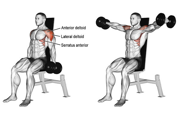 Bài tập Seated Side Lateral Raise