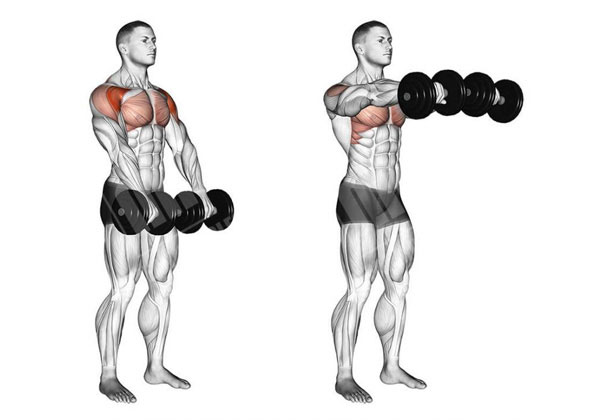 Bài tập Front Two Dumbbell Raise